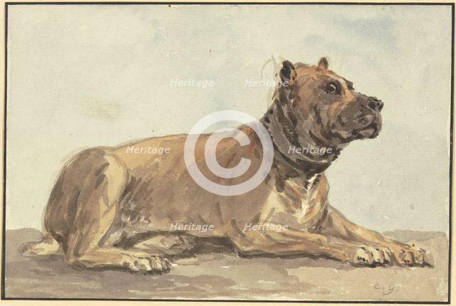 Reclining Great Dane, head raised, 18th century. Creator: Conrad Gesner.