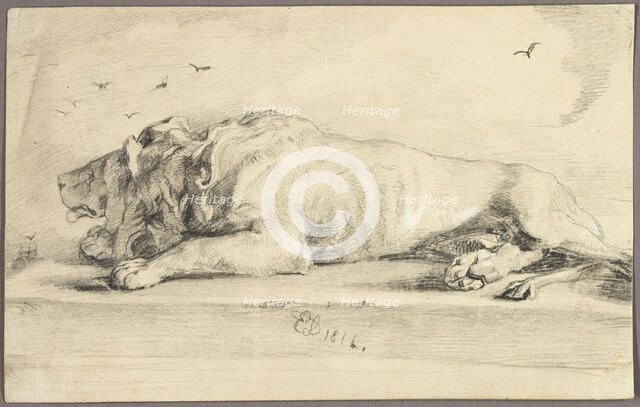 Reclining Lion, 1816. Creator: Edwin Henry Landseer.