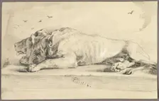 Reclining Lion, 1816. Creator: Edwin Henry Landseer