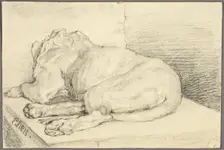 Reclining Lion, From Back, 1816. Creator: Edwin Henry Landseer