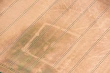 Rectilinear enclosure crop mark showing in the hot summer of 2018, near Linton, Cambridgeshire, 2018 Creator: Damian Grady