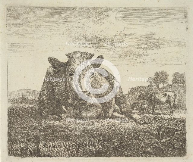 Recumbent Cow, from Different Animals, 1657. Creator: Adriaen van de Velde.