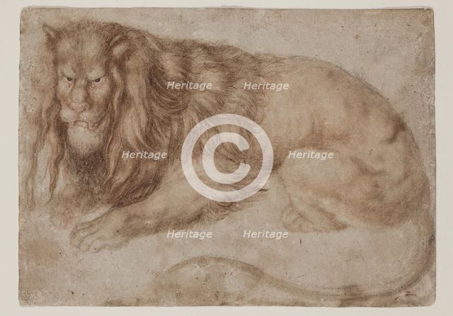 Recumbent Lion, between 1494 and 1495. Creator: Albrecht Durer.