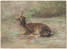 Recumbent Stag, second half 19th century. Creator: Rosa Bonheur (French, 1822-1899)