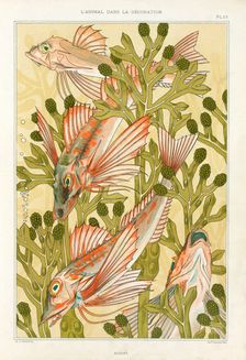 Red Mullet, pub. 1897. Creator: Maurice Pillard Verneuil (1869?1942)