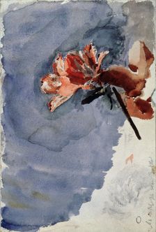 Red Azalea, 1886-1887. Artist: Vrubel, Mikhail Alexandrovich (1856-1910)
