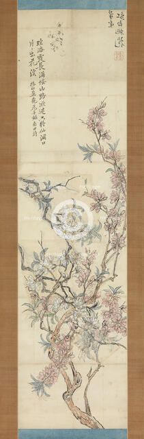 Red and White Peach Blossoms, Preparatory Sketch, 1843. Creator: Tsubaki Chinzan.