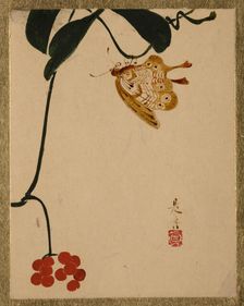 Red Berry Plant and Butterfly. Creator: Shibata Zeshin