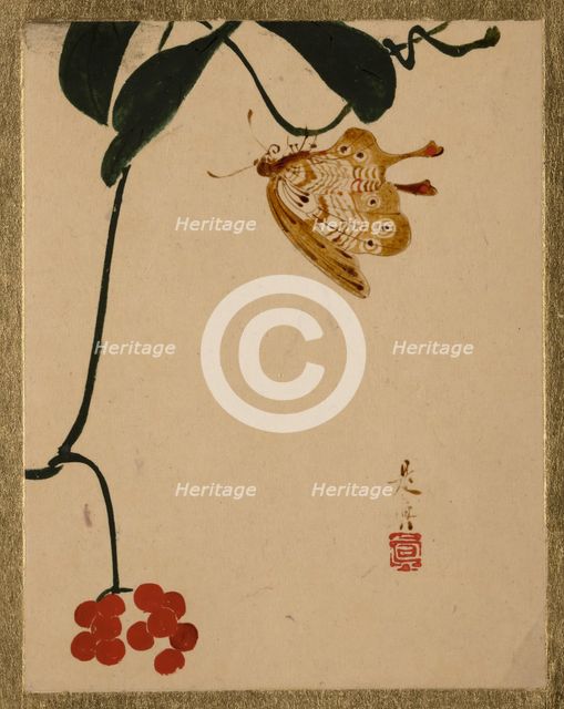 Red Berry Plant and Butterfly. Creator: Shibata Zeshin.