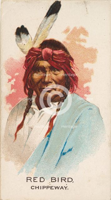 Red Bird, Chippeway, from the American Indian Chiefs series (N2) for Allen & Ginter Cigare..., 1888. Creator: Allen & Ginter.