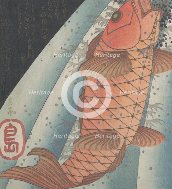 Red Carp Ascending a Waterfall , late 1820s. Creator: Gakutei.