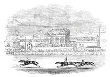 "Red Deer" winning the "Chester Cup" - from a sketch made on the spot, 1844. Creator: Unknown