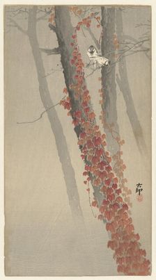 Red ivy. Creator: Ohara, Koson (1877-1945)