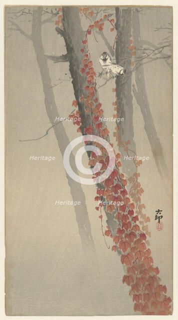 Red ivy. Creator: Ohara, Koson (1877-1945).