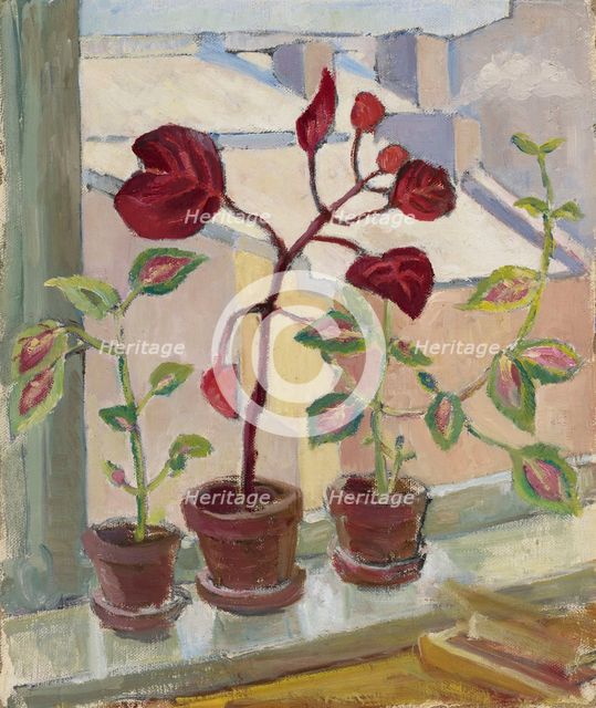 Red leaves III, 1930-1939. Creator: Aino von Boehm.