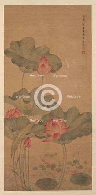 Red Lotus and Fish. Creator: Tang Guang.