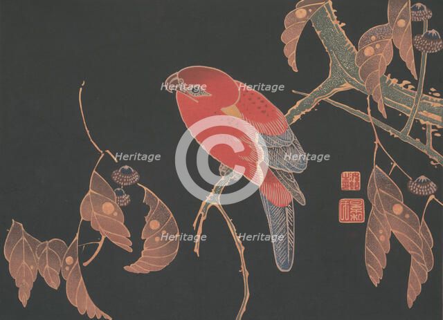 Red Parrot on the Branch of a Tree, ca. 1900. Creator: Ito Jakuchu.