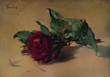 Red Rose c1864, (1938). Artist: Henri Fantin-Latour