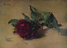 Red Rose c1864, (1938). Artist: Henri Fantin-Latour
