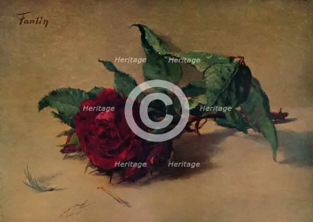 'Red Rose', c1864, (1938). Artist: Henri Fantin-Latour.
