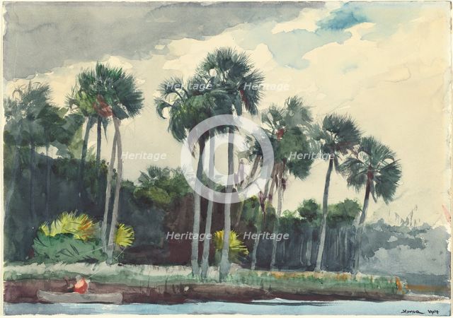 Red Shirt, Homosassa, Florida, 1904. Creator: Winslow Homer.