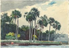 Red Shirt, Homosassa, Florida, 1904. Creator: Winslow Homer