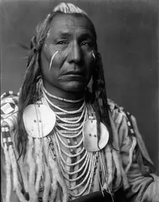 Red Wing-Apsaroke, c1908. Creator: Edward Sheriff Curtis