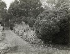 "Redlands," Polly Coles and Sally Randolph Carter house, Carter's..., Covesville, Virginia, 1926. Creator: Frances Benjamin Johnston