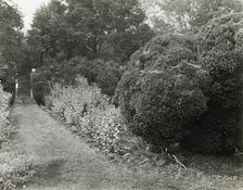 "Redlands," Polly Coles and Sally Randolph Carter house, Carter's..., Covesville, Virginia, 1926. Creator: Frances Benjamin Johnston