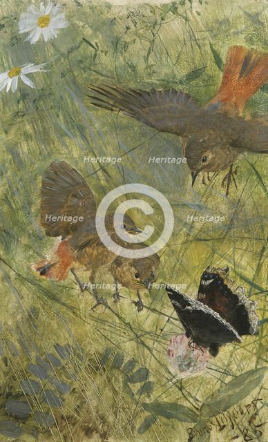 Redstarts and Butterflies. Five studies in one frame, NM 2223-2227, 1885. Creator: Bruno Liljefors.
