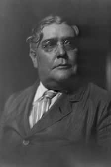Reedy, Mr., portrait photograph, 1917 July 24. Creator: Arnold Genthe