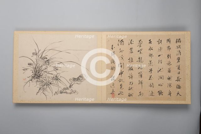 Refined Elegance in the Four Seasons (Shiji seiga), Album of Flower Paintings, 1844. Creator: Yamamoto Baiitsu.