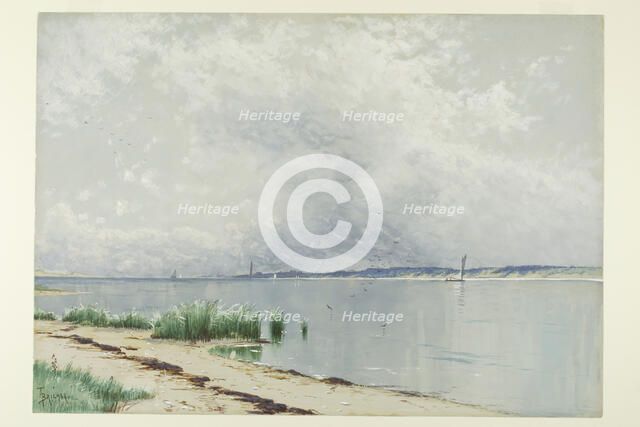 Reflected Reeds, c. 1875. Creator: Alfred Thompson Bricher.