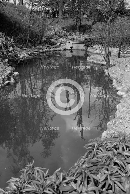 Reflections in the pond at Gravesend Gardens, Kent, c1945-c1965. Artist: SW Rawlings