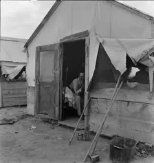 Refugee agricultural laborer on the roadside in Arizona, near the Casa Grande project, 1938. Creator: Dorothea Lange