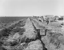 Refugees camped by the roadside beside an irrigated pea field, nine miles from Calipatria, CA, 1937. Creator: Dorothea Lange