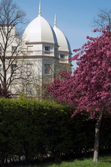 Regent's Park, 2005. Creator: Ethel Davies