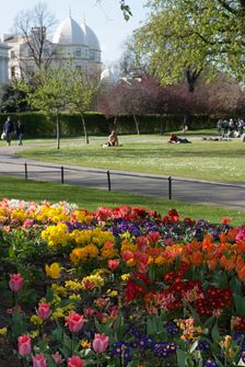 Regent's Park, 2009. Creator: Ethel Davies