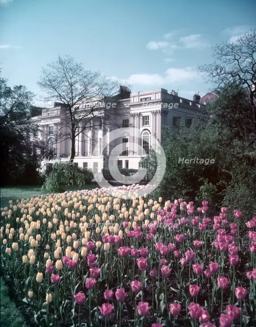 Regent's Park, London, c1955. Creator: Arthur Charles Kirby Ware.