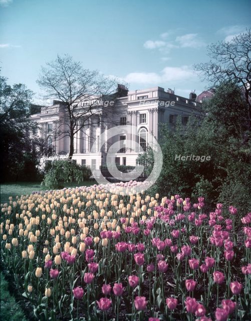 Regent's Park, London, c1955. Creator: Arthur Charles Kirby Ware.
