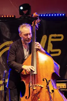 Reid Anderson, Love Supreme Jazz Festival, Glynde Place, East Sussex, July 2015. Artist: Brian O'Connor