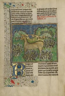 Reindeer; Livre de la Chasse, about 1430-1440. Creator: Unknown