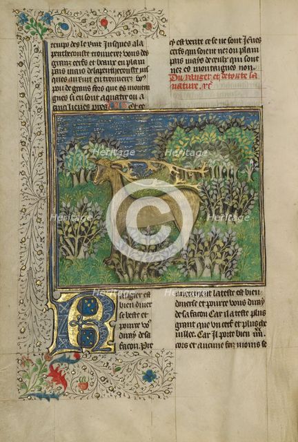 Reindeer; Livre de la Chasse, about 1430-1440. Creator: Unknown.