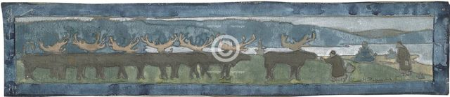 Reindeers. North.