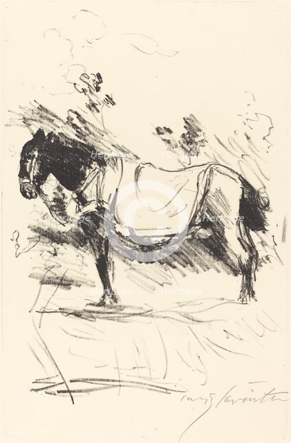 Reitpferd (Riding-Horse), 1916. Creator: Lovis Corinth.