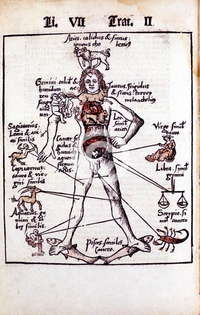 Relationship of the organs of the body, the Humours and signs of the Zodiac, 1508. Artist: Unknown