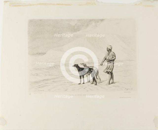 Relay of Dogs in the Desert, c. 1866. Creator: Paul Adolphe Rajon.