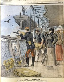 Releasing French army homing pigeons on board the transatlantic liner La Bretagne 1898