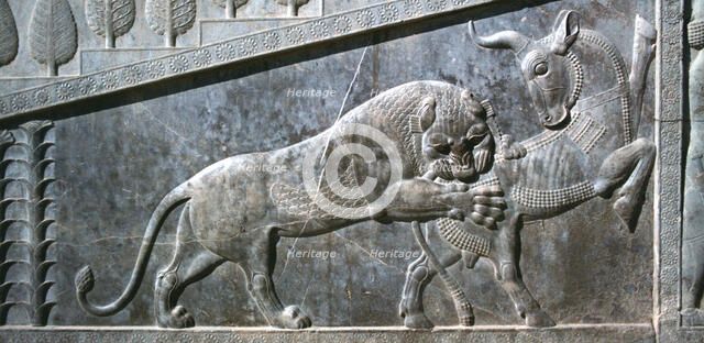 Relief of a bull being attacked by a lion, the Apadana, Persepolis, Iran