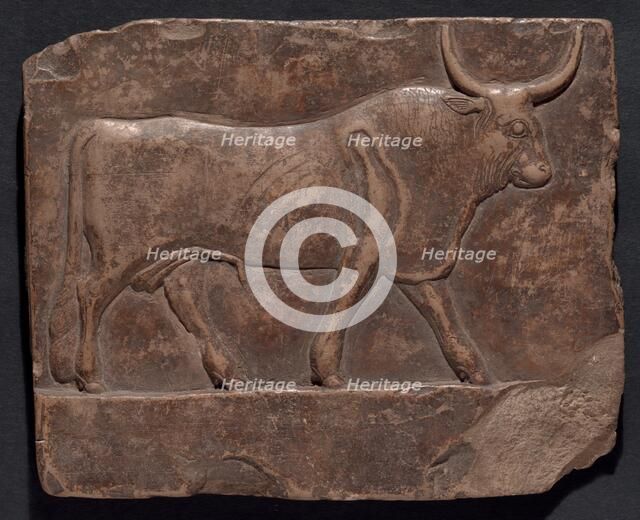 Relief of a Bull, Egypt, Early Ptolemaic Period, about 300 BCE. Creator: Unknown.